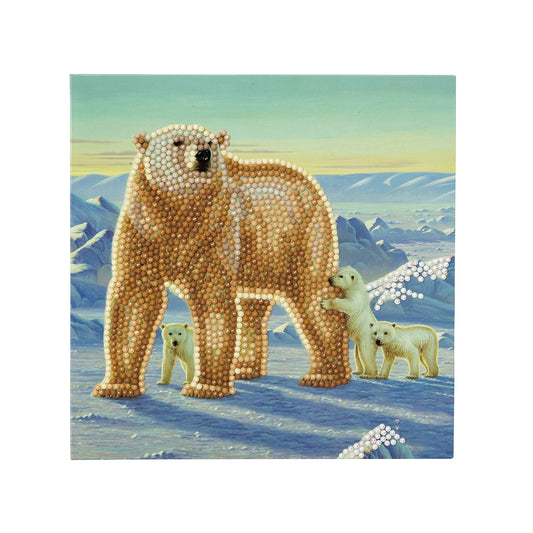 CCK-A15: "Polar Family" Crystal Card Kit